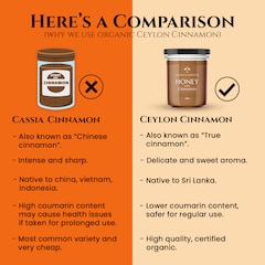 Image 4 for British Honey with Cinnamon 240g