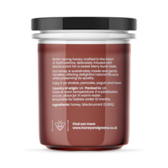 Image 2 for British Honey with Blackcurrant 240g