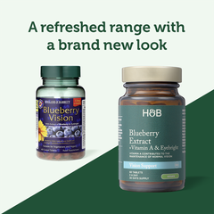 Image 4 for Blueberry Vision 60 Tablets