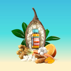 Image 2 for Turmeric & Ginger Health Shot 60ml