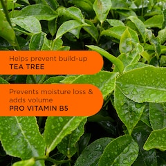 Image 3 for Back To Balance Oil Controlling Shampoo 250ml