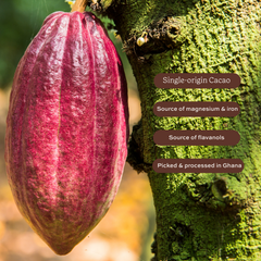 Image 5 for Super-Cacao Premium Blend Cacao Powder 100g