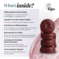 Image 5 for Shilajit 2000mg Strawberry Flavoured 60 Gummies