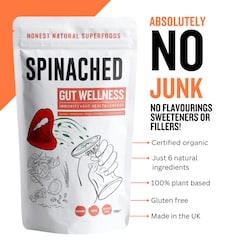 Image 5 for Gut Wellness Superfood Powder 200g