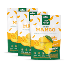 Image 1 for Dried Mango 3x 100g