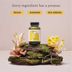Image 3 for Rise & Shine With Ginseng & Reishi 60 Vegan Capsules