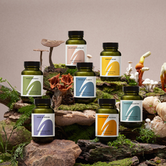 Image 5 for Perform & Recover With Cordyceps & Ginseng 60 Vegan Capsules
