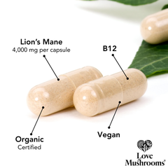 Image 3 for Organic Lion's Mane 4000mg Capsules