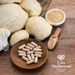 Image 4 for Organic Lion's Mane 4000mg Capsules