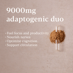 Image 3 for Lions Mane & Ginkgo 30 capsules