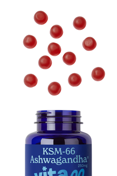 Image 2 for Ashwagandha KSM-66 Gummies 60s