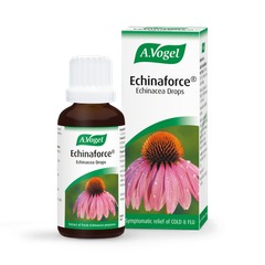 Image 1 for A. Vogel Echinaforce 50ml