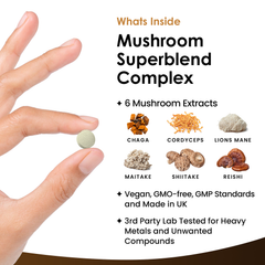Image 2 for Mushroom Superblen Complex Tablets 120 tablets