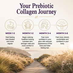 Image 5 for Prebiotic Collagen Powder