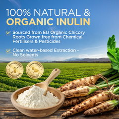Image 4 for Organic Prebiotic Inulin Powder 250g