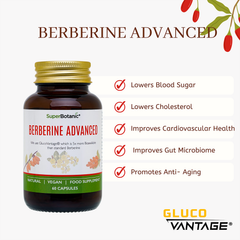 Image 3 for Berberine Advance- 60 Capsules