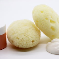 Image 5 for Triple Treat Face & Cosmetic Gentle Natural Sea Sponge 3 Pack 2.5-3 Inches