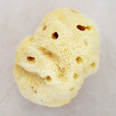 Image 2 for PureSilk Baby Bath Buddy Gentle Natural Sea Sponge 4-4.5 Inches