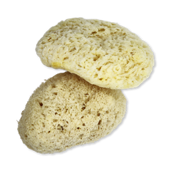 Image 2 for Natures Touch Sheep Wool Gentle Body & Bath Natural Sea Sponge 5-5.5 Inches