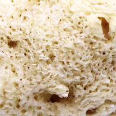 Image 4 for Natures Touch Sheep Wool Gentle Body & Bath Natural Sea Sponge 5-5.5 Inches