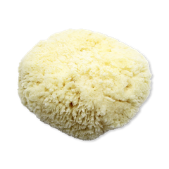 Image 2 for Natures Touch Sheep Wool Gentle Body & Bath Natural Sea Sponge 6-6.5 Inches