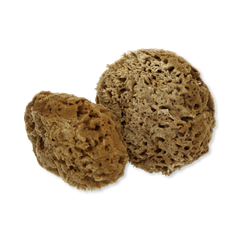 Image 2 for Soft Serenity Sheep Wool Gentle Body & Bath Natural Sea Sponge 5-5.5 Inches