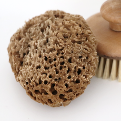 Image 4 for Soft Serenity Sheep Wool Gentle Body & Bath Natural Sea Sponge 5-5.5 Inches