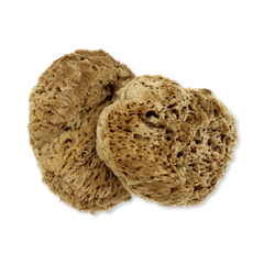 Image 2 for Soft Serenity Sheep Wool Gentle Body & Bath Natural Sea Sponge 6-6.5 Inches