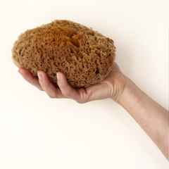 Image 5 for Soft Serenity Sheep Wool Gentle Body & Bath Natural Sea Sponge 6-6.5 Inches