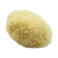 Image 1 for Golden Glow Honeycomb Luxury Body & Bath Natural Sea Sponge 5-5.5 Inches
