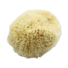 Image 2 for Golden Glow Honeycomb Luxury Body & Bath Natural Sea Sponge 5-5.5 Inches