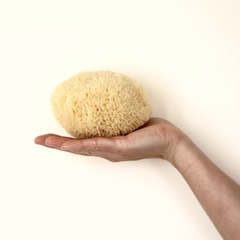Image 3 for Golden Glow Honeycomb Luxury Body & Bath Natural Sea Sponge 5-5.5 Inches
