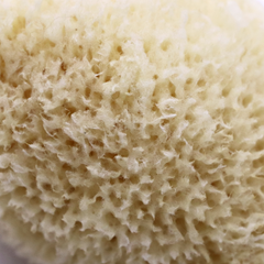 Image 4 for Golden Glow Honeycomb Luxury Body & Bath Natural Sea Sponge 5-5.5 Inches
