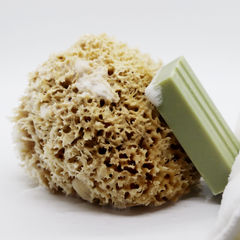 Image 2 for Honeycomb Luxe Body & Bath Natural Sea Sponge 5-5.5 Inches