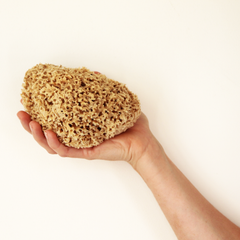 Image 3 for Honeycomb Luxe Body & Bath Natural Sea Sponge 5-5.5 Inches