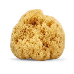 Image 1 for SilkGlow Gentle Body & Bath Natural Sea Sponge 4-4.5 Inches