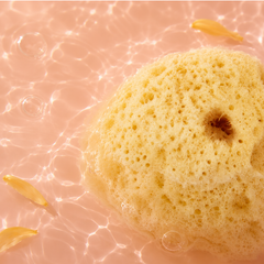 Image 3 for SilkGlow Gentle Body & Bath Natural Sea Sponge 4-4.5 Inches