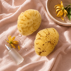Image 5 for SilkGlow Gentle Body & Bath Natural Sea Sponge 5-5.5 Inches