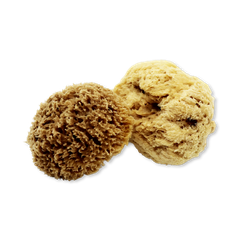 Image 1 for Deep Sea Pure Luxury Body & Bath Natural Sea Sponge 5-5.5 Inches