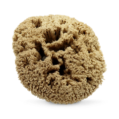 Image 1 for Deep Sea Pure Luxury Body & Bath Natural Sea Sponge 6-6.5 Inches