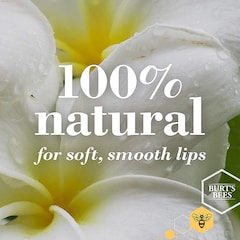Burt's Bees 100% Natural Lip Balm Mango 4.25g