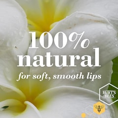 Burt's Bees 100% Natural Lip Balm Beeswax 4.25g
