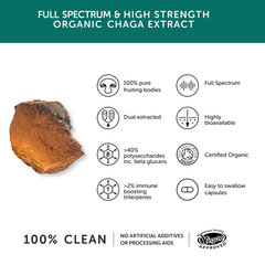 Image 3 for Organic Chaga 60 Capsules
