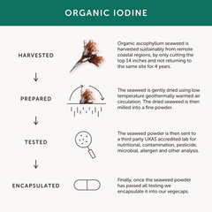 Image 5 for Organic Iodine 30 x Capsules