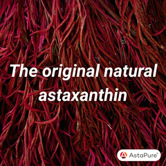 Image 5 for Astaxanthin Skin Health 28 Capsules