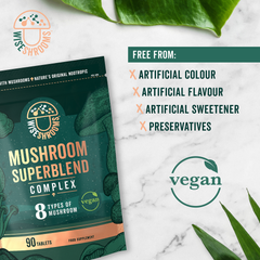Image 4 for Nootropic Mushroom Complex - 90 Vegan Capsules