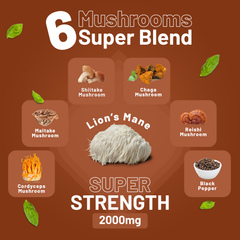 Image 3 for Advanced Mushroom Complex 120 Vegan High Strength Tablets