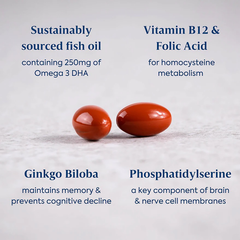 Image 5 for Active Memory - 30 Capsules