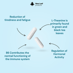 Image 2 for L-Theanine Capsules 360 Capsules