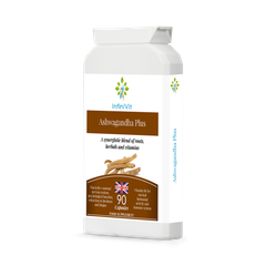 Image 2 for Ashwagandha Plus 90 Capsules
